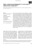 Báo cáo khoa học: Alpha 1-antichymotrypsin/SerpinA3 is a novel target of orphan nuclear receptor Nur77