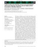 Báo cáo khoa học: LmbE proteins from Bacillus cereus are de-N-acetylases with broad substrate speciﬁcity and are highly similar to proteins in Bacillus anthracis