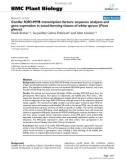 báo cáo khoa học: Conifer R2R3-MYB transcription factors: sequence analyses and gene expression in wood-forming tissues of white spruce (Picea glauca)