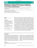 Báo cáo khoa hoc Multiple NF-Y-binding CCAAT boxes are essential for transcriptional regulation of the human C7orf24 gene, a novel tumor-associated gene