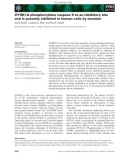 Báo cáo khoa học: DYRK1A phosphorylates caspase 9 at an inhibitory site and is potently inhibited in human cells by harmine