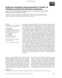 Báo cáo khoa học: Endo⁄exo mechanism and processivity of family 18 chitinases produced by Serratia marcescens