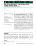 Báo cáo khoa học: ATP allosteric activation of atrial natriuretic factor receptor guanylate cyclase