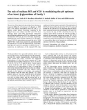 Báo cáo khoa học: The role of residues R97 and Y331 in modulating the pH optimum of an insect b-glycosidase of family 1