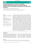 Báo cáo khoa học: Increased expression of c-Fos by extracellular signal-regulated kinase activation under sustained oxidative stress elicits BimEL upregulation and hepatocyte apoptosis