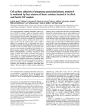 Báo cáo khoa học: Cell surface adhesion of pregnancy-associated plasma protein-A is mediated by four clusters of basic residues located in its third and fourth CCP module