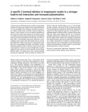 Báo cáo khóa học: A speciﬁc C-terminal deletion in tropomyosin results in a stronger head-to-tail interaction and increased polymerization