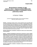 Báo cáo khoa học: Morphological variability of oaks (Quercus robur L, Quercus petraea (Matt) Liebl, Quercus pubescens Willd) in northeastern France: preliminary results