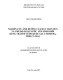 Luận án Tiến sĩ Môi trường đất và nước: Nghiên cứu ảnh hưởng của đất than bùn và chế độ ngập nước lên sinh khối rừng tràm ở vườn quốc gia U Minh Hạ, tỉnh Cà Mau