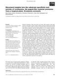 Báo cáo khoa học: Structural insights into the substrate speciﬁcity and activity of ervatamins, the papain-like cysteine proteases from a tropical plant, Ervatamia coronaria