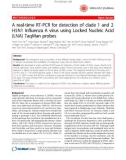 Báo cáo khoa học: A real-time RT-PCR for detection of clade 1 and 2 H5N1 Influenza A virus using Locked Nucleic Acid (LNA) TaqMan probes