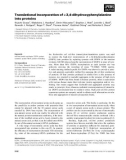 Báo cáo khoa học: Translational incorporation of L-3,4-dihydroxyphenylalanine into proteins