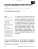 Báo cáo khoa học: Regulation of dCTP deaminase from Escherichia coli by nonallosteric dTTP binding to an inactive form of the enzyme