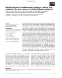 Báo cáo khoa học: Identiﬁcation of an antibacterial protein as L-amino acid oxidase in the skin mucus of rockﬁsh Sebastes schlegeli