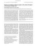 Báo cáo khoa học: Presence of membrane ecdysone receptor in the anterior silk gland of the silkworm Bombyx mori