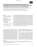 Báo cáo khoa học: EcR expression in the prothoracicotropic hormoneproducing neurosecretory cells of the Bombyx mori brain