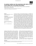 Báo cáo khoa học: A cysteine residue near the propionate side chain of heme is the radical site in ascorbate peroxidase