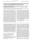 Báo cáo Y học: Expression of the aspartate/glutamate mitochondrial carriers aralar1 and citrin during development and in adult rat tissues