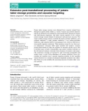 Báo cáo khoa hoc : Extensive post-translational processing of potato tuber storage proteins and vacuolar targeting