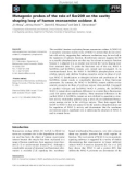 Báo cáo khoa học: Mutagenic probes of the role of Ser209 on the cavity shaping loop of human monoamine oxidase A