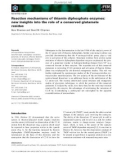 Báo cáo khoa học: Reaction mechanisms of thiamin diphosphate enzymes: new insights into the role of a conserved glutamate residue