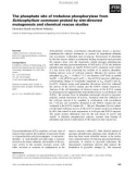 Báo cáo khoa học: The phosphate site of trehalose phosphorylase from Schizophyllum communeprobed by site-directed mutagenesis and chemical rescue studies