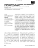 Báo cáo khoa học: Structural evidence for a constant c11 ring stoichiometry in the sodium F-ATP synthase