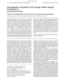 Báo cáo Y học: Thermodynamics and kinetics of the cleavage of DNA catalyzed by bleomycin A5 A microcalorimetric study