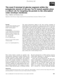 Báo cáo khoa học: The most C-terminal tri-glycine segment within the polyglycine stretch of the pea Toc75 transit peptide plays a critical role for targeting the protein to the chloroplast outer envelope membrane