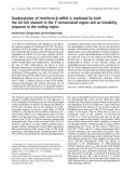 Báo cáo khoa học: Deadenylation of interferon-b mRNA is mediated by both the AU-rich element in the 3¢-untranslated region and an instability sequence in the coding region