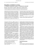 Báo cáo khoa học: Biosynthesis of riboﬂavin in Archaea 6,7-Dimethyl-8-ribityllumazine synthase of Methanococcus jannaschii