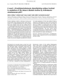 Báo cáo khoa học: A novel c-N-methylaminobutyrate demethylating oxidase involved in catabolism of the tobacco alkaloid nicotine by Arthrobacter nicotinovorans pAO1