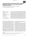 Báo cáo khoa học: Crystal structure of the tetrameric inositol 1-phosphate phosphatase (TM1415) from the hyperthermophile, Thermotoga maritima