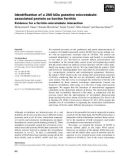 Báo cáo khoa học: Identiﬁcation of a 250 kDa putative microtubuleassociated protein as bovine ferritin Evidence for a ferritin–microtubule interaction