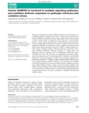 Báo cáo khoa học: Cotton GhMPK2 is involved in multiple signaling pathways and mediates defense responses to pathogen infection and oxidative stress