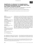 Báo cáo khoa học: Identiﬁcation of substrates for transglutaminase in Physarum polycephalum, an acellular slime mold, upon cellular mechanical damage