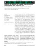 Báo cáo khoa học: Analyzing the catalytic role of Asp97 in the methionine aminopeptidase from Escherichia coli