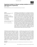 Báo cáo khoa học: Functional analysis of disease-causing mutations in human UDP-galactose 4-epimerase