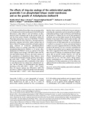 Báo cáo Y học: The effects of ring-size analogs of the antimicrobial peptide gramicidin S on phospholipid bilayer model membranes and on the growth of Acholeplasma laidlawii B