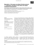 Báo cáo khoa học: Disruption of the gene encoding 3b-hydroxysterol D14-reductase (Tm7sf2) in mice does not impair cholesterol biosynthesis