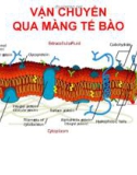 VẬN CHUYỂN QUA MÀNG TẾ BÀO