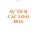 SỰ TÍCH CÁC LOÀI HOA