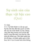 Sự sinh sản của thực vật bậc cao (Quả)