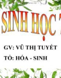 Giáo án điện tử môn sinh học: động vật và thực vật