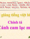 Bài giảng Tiếng việt 5 tuần 20 bài: Cánh cam lạc mẹ