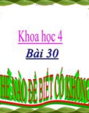 Slide bài Làm thế nào để biết có không khí - Khoa học 4 - GV.B.N.Kha