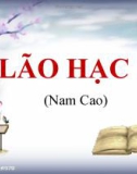 Bài giảng môn Ngữ văn lớp 8 - Bài 4: Lão Hạc