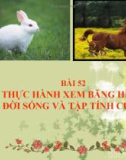 Bài giảng Sinh học 7 bài 52: Thực hành xem băng hình về đời sống và tập tính của thú