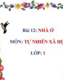 Bài giảng TNXH 1 bài 12: Nhà ở