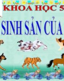 Bài giảng Sự sinh sản của thú - Khoa học 5 - GV. N.T.Sỹ